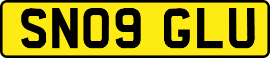 SN09GLU