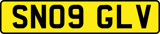 SN09GLV