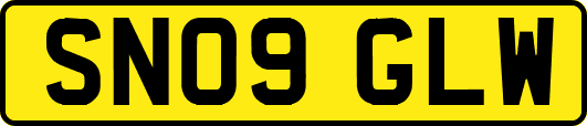 SN09GLW