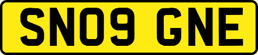 SN09GNE