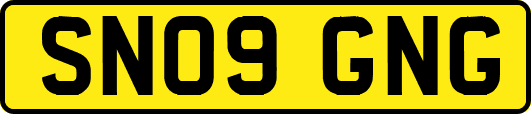 SN09GNG