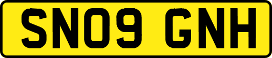 SN09GNH