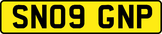 SN09GNP
