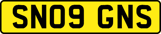 SN09GNS