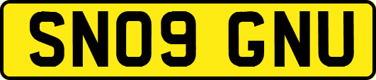 SN09GNU