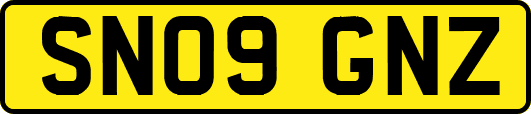 SN09GNZ