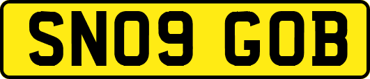 SN09GOB
