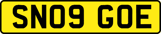 SN09GOE