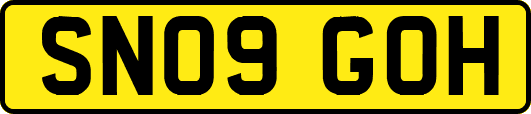 SN09GOH