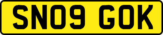 SN09GOK