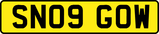 SN09GOW