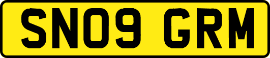 SN09GRM