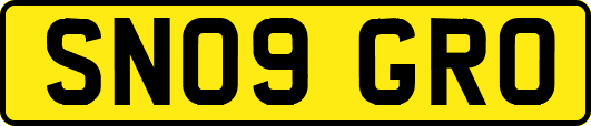 SN09GRO