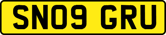SN09GRU