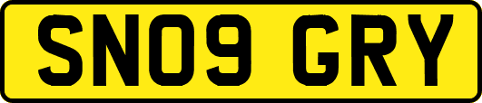 SN09GRY