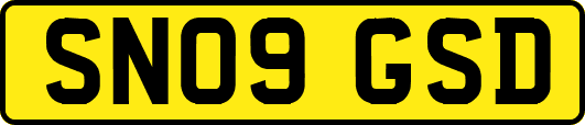 SN09GSD