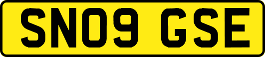 SN09GSE