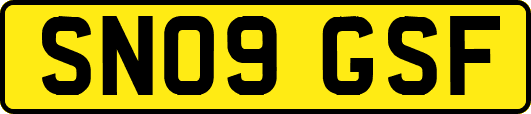 SN09GSF
