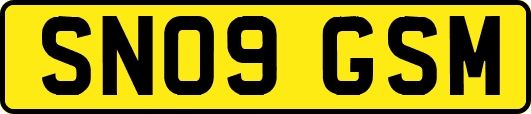 SN09GSM