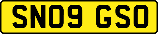 SN09GSO