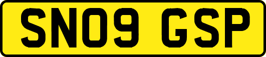 SN09GSP