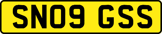 SN09GSS
