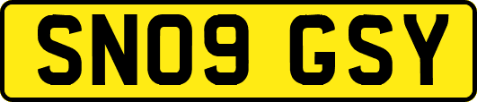 SN09GSY