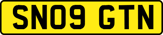 SN09GTN