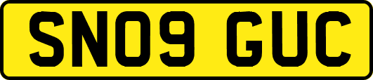 SN09GUC