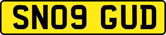SN09GUD