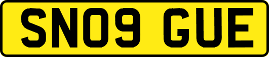 SN09GUE