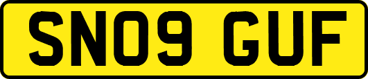 SN09GUF