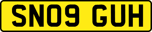 SN09GUH