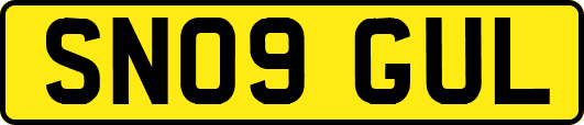SN09GUL