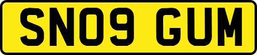 SN09GUM