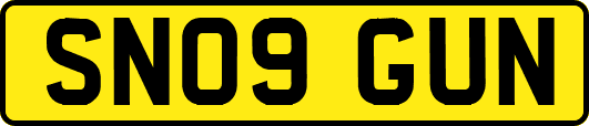 SN09GUN