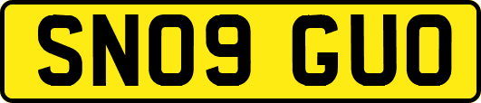 SN09GUO