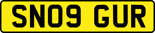 SN09GUR