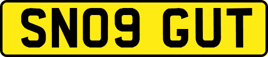 SN09GUT