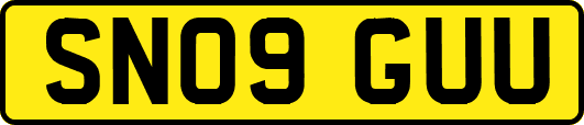 SN09GUU