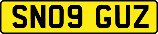 SN09GUZ