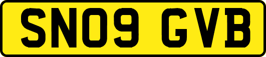 SN09GVB