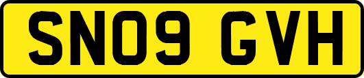 SN09GVH
