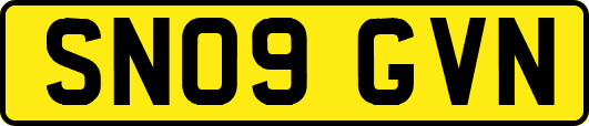 SN09GVN