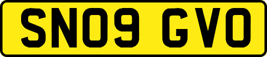 SN09GVO