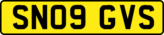 SN09GVS