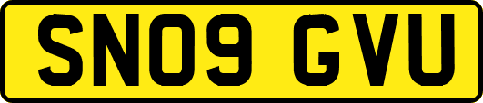 SN09GVU