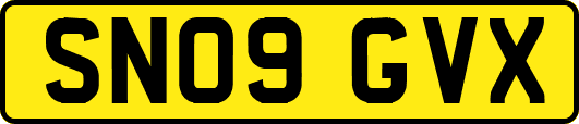 SN09GVX