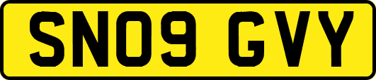 SN09GVY