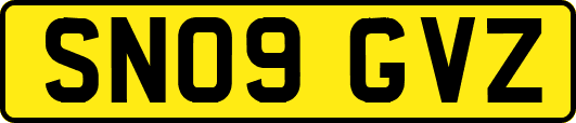 SN09GVZ
